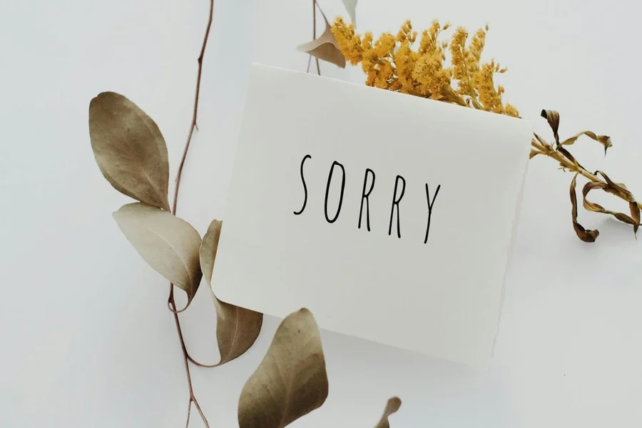 Response to Sorry 